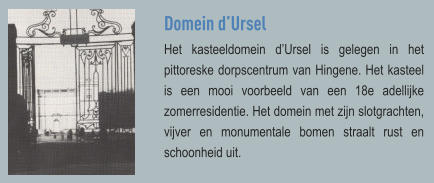 Domein d’Ursel Het kasteeldomein d’Ursel is gelegen in het pittoreske dorpscentrum van Hingene. Het kasteel is een mooi voorbeeld van een 18e adellijke zomerresidentie. Het domein met zijn slotgrachten, vijver en monumentale bomen straalt rust en schoonheid uit.